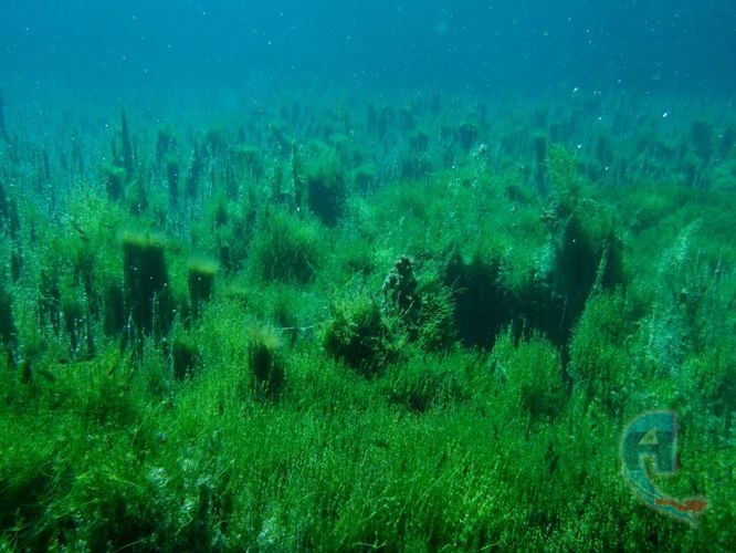 ojo de agua en morelos